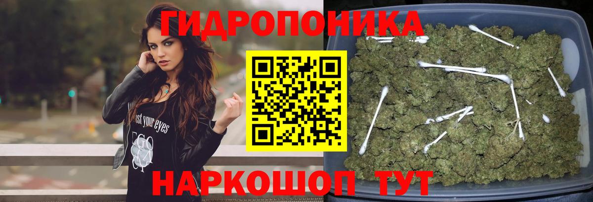 Бошки марихуана MAZAR  Вход с VPN  Марихуана THC 21%  Канабис конопля  Клин  Бошки Шишки AK-47 
